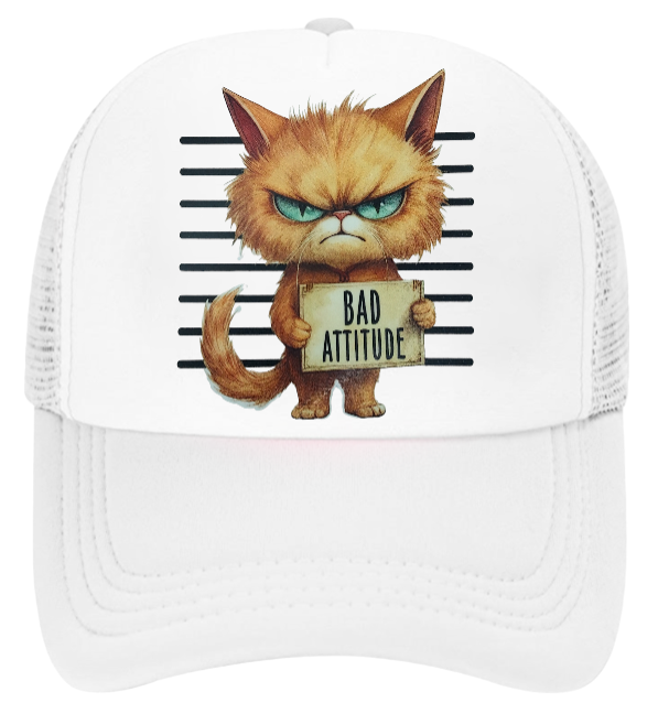 Cat Hat Adjustable Snapback Trucker Hat Bad Attitude Moody Angry Naughty Cat
