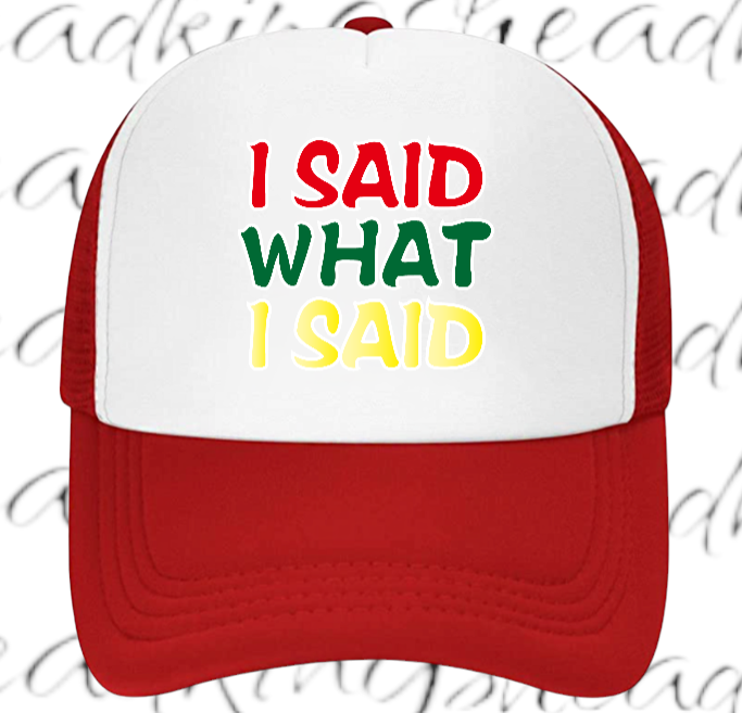 I Said What I Said Adjustable Snapback Trucker Hat Outdoors Hat Funny Hat