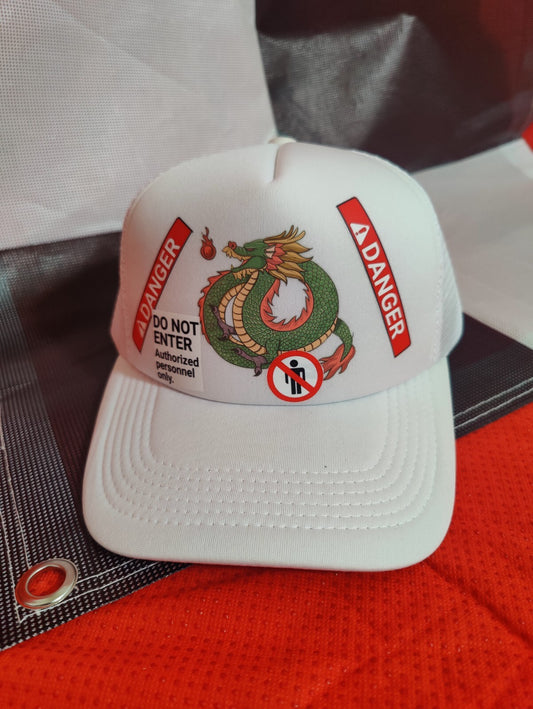 Dragon Hat Baseball Hat Trucker Hat Adjustable Snapback Hat Danger Fire Dragon