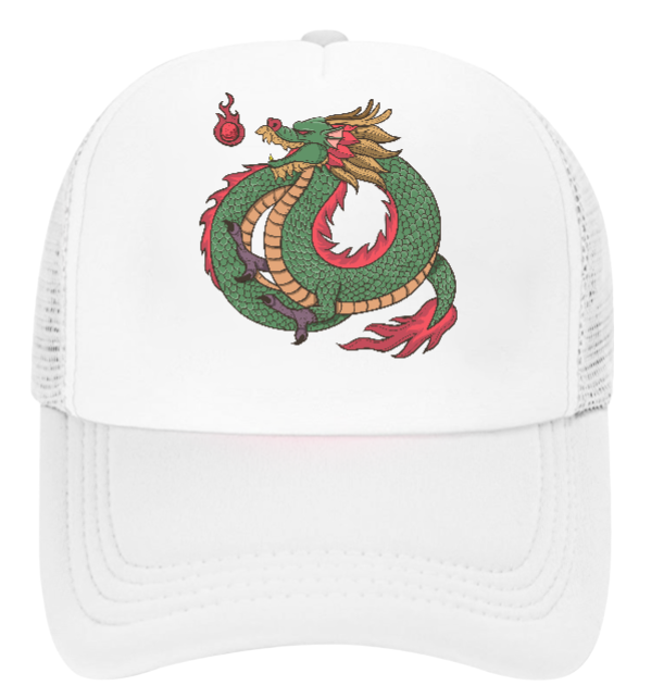 Dragon Hat Baseball Hat Trucker Hat Adjustable Snapback Hat Danger Fire Dragon