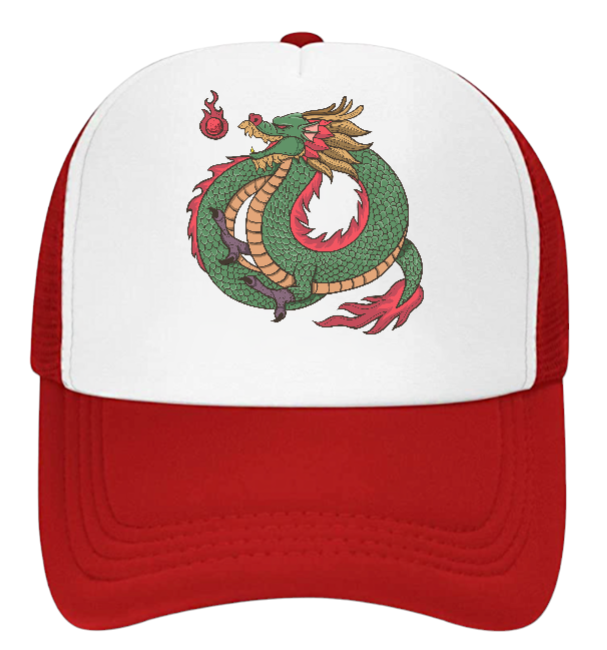 Dragon Hat Baseball Hat Trucker Hat Adjustable Snapback Hat Danger Fire Dragon