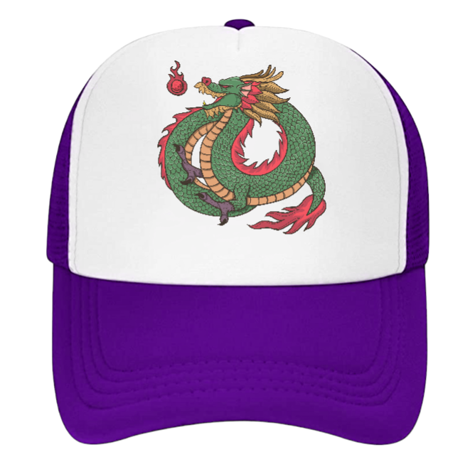 Dragon Hat Baseball Hat Trucker Hat Adjustable Snapback Hat Danger Fire Dragon