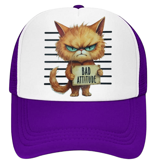 Cat Hat Adjustable Snapback Trucker Hat Bad Attitude Moody Angry Naughty Cat