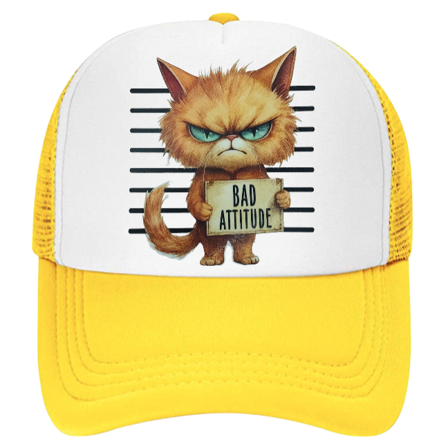 Cat Hat Adjustable Snapback Trucker Hat Bad Attitude Moody Angry Naughty Cat