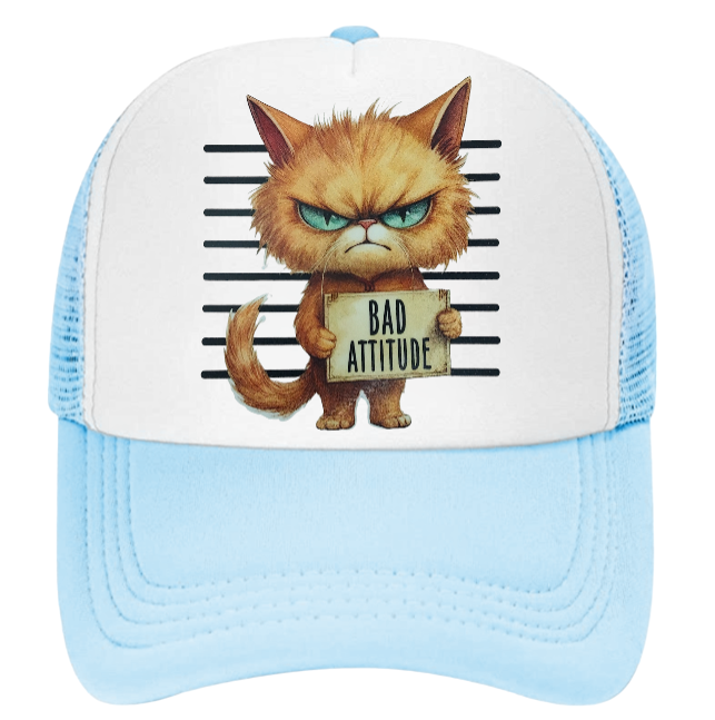 Cat Hat Adjustable Snapback Trucker Hat Bad Attitude Moody Angry Naughty Cat
