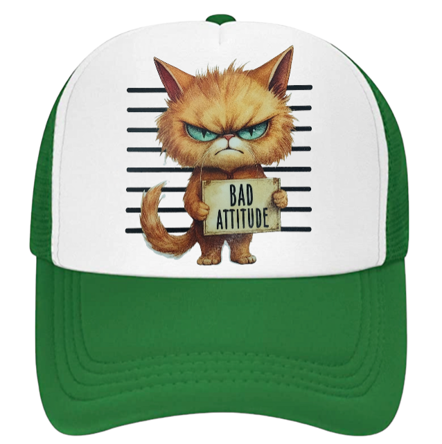 Cat Hat Adjustable Snapback Trucker Hat Bad Attitude Moody Angry Naughty Cat