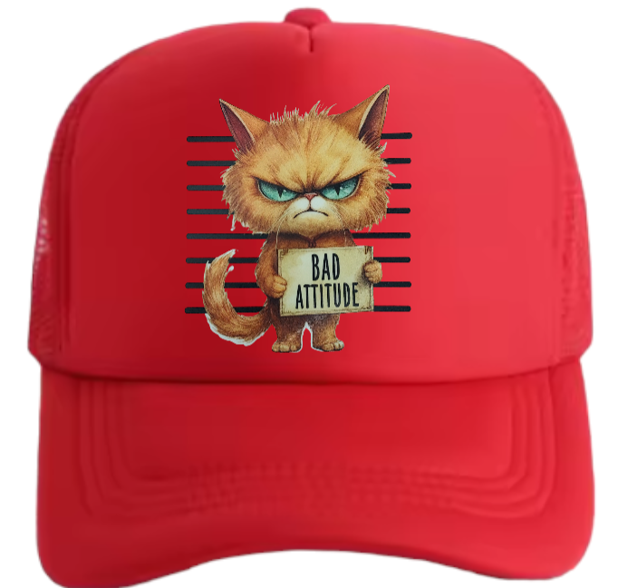 Cat Hat Adjustable Snapback Trucker Hat Bad Attitude Moody Angry Naughty Cat